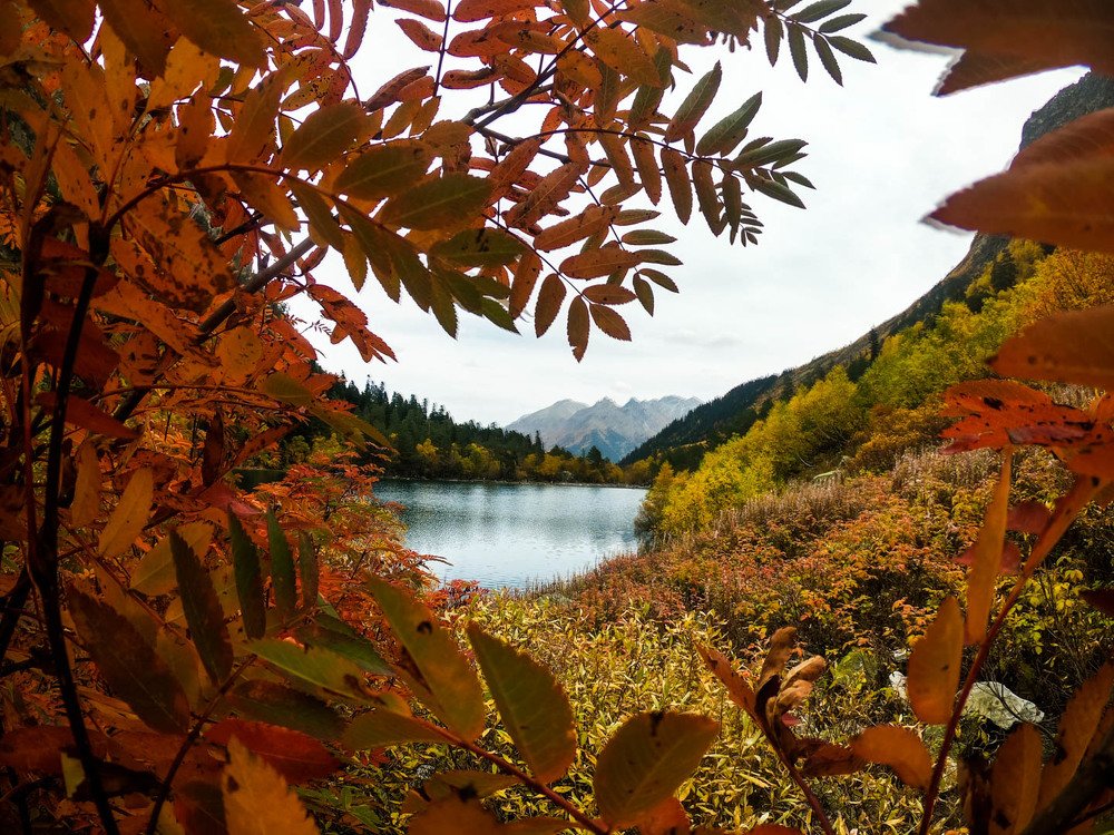 Photo #5243334