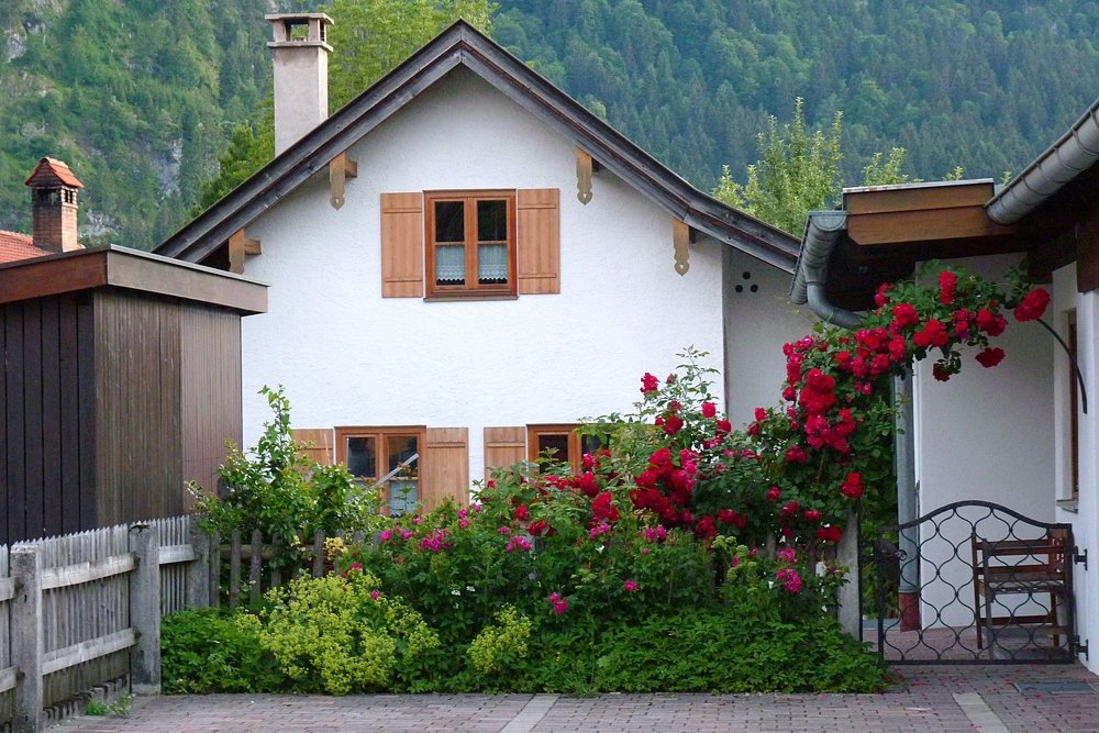 розовый палисадник (little rose garden)