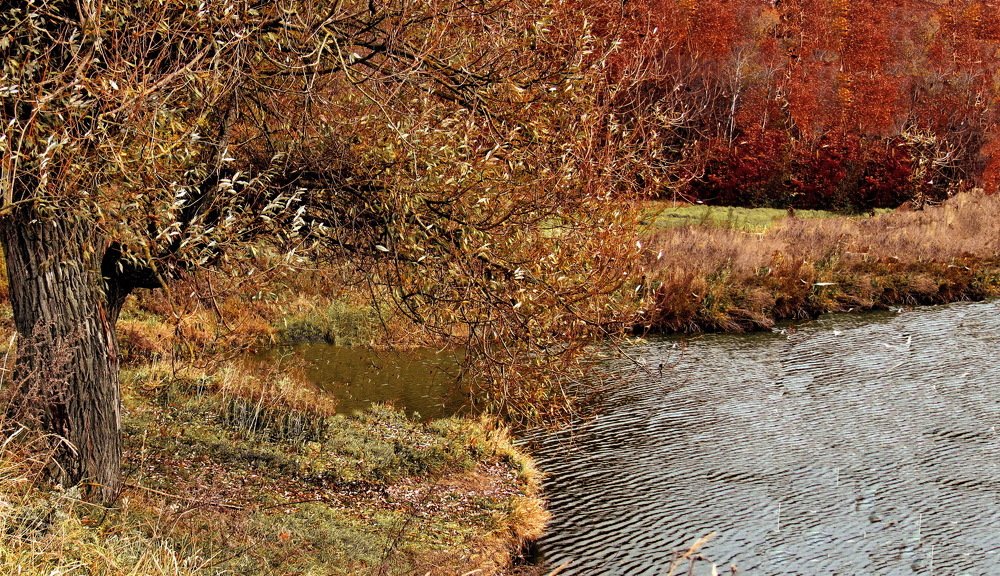 Photograph by Светлана Шмигельская