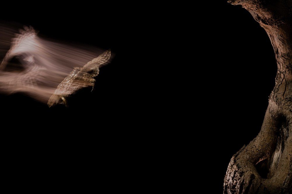 Фотография автора Thinesh Thirugnanasampanthar