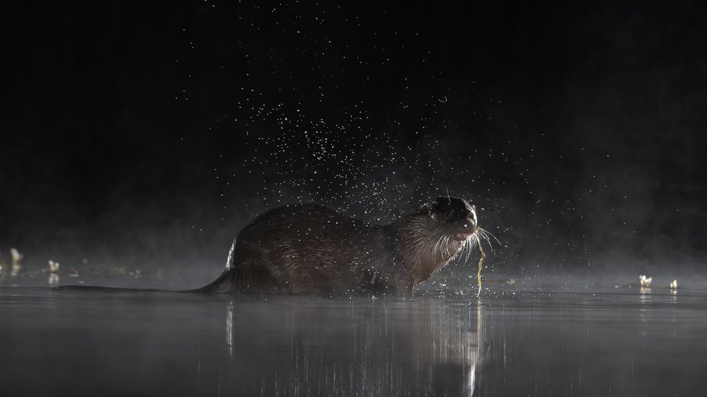 Photograph by Thinesh Thirugnanasampanthar