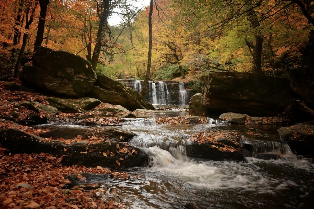 Фотография автора Demet Özer Yakut