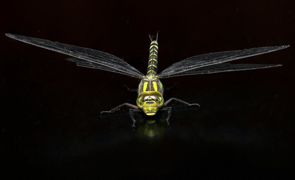 Photograph by Igor Ryzhov