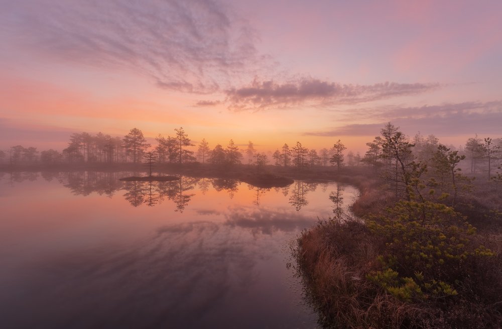 Photograph by Элвис Антсон