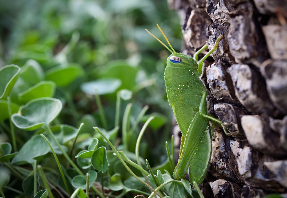 Photograph by Igor Ryzhov