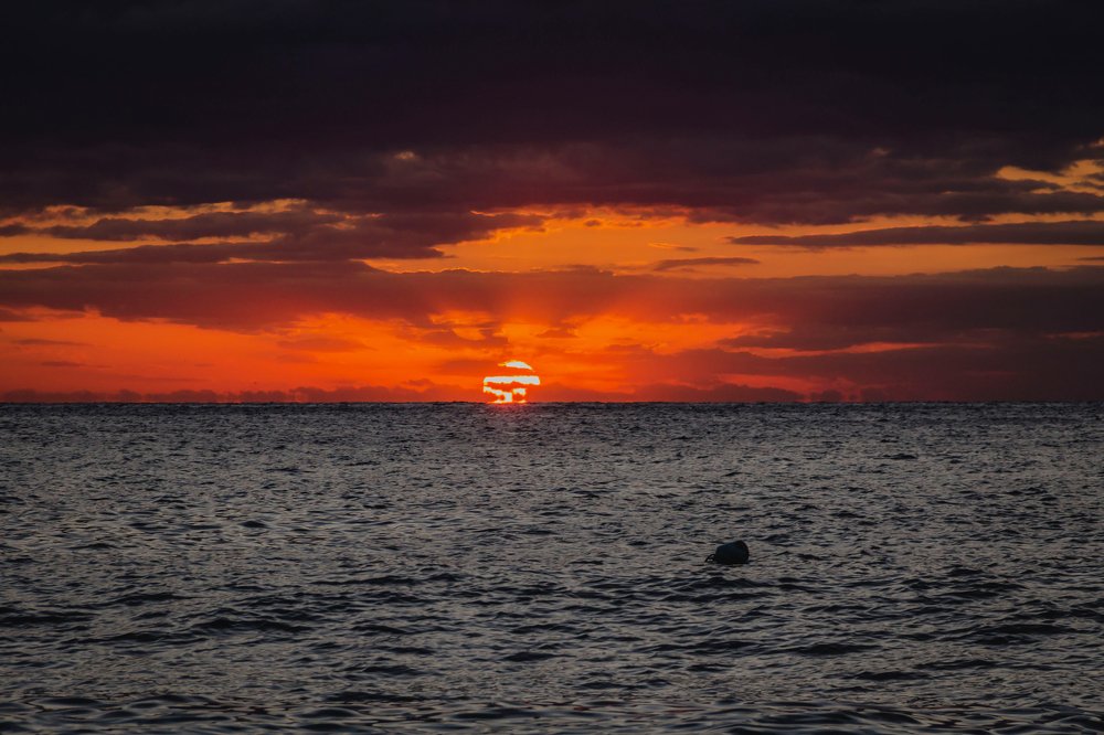 Photograph by Игорь Сидун