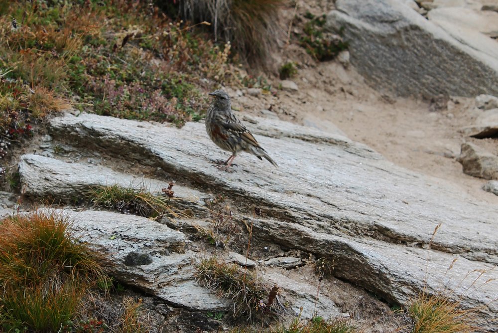 Photograph by Диана Ульянцева