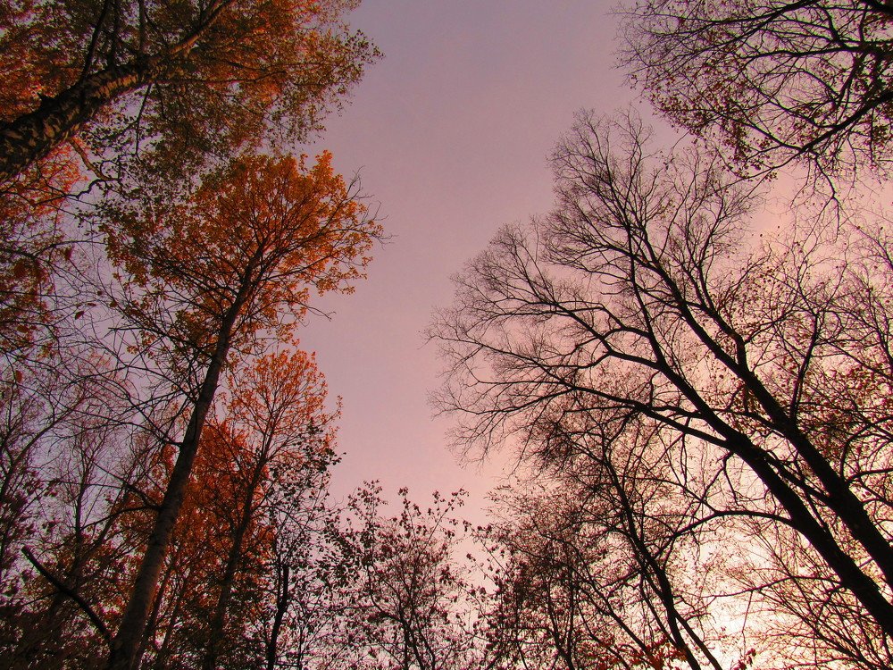 Photograph by Анна Кремешкова