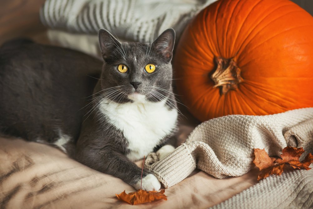 Photograph by Валерия Ватель