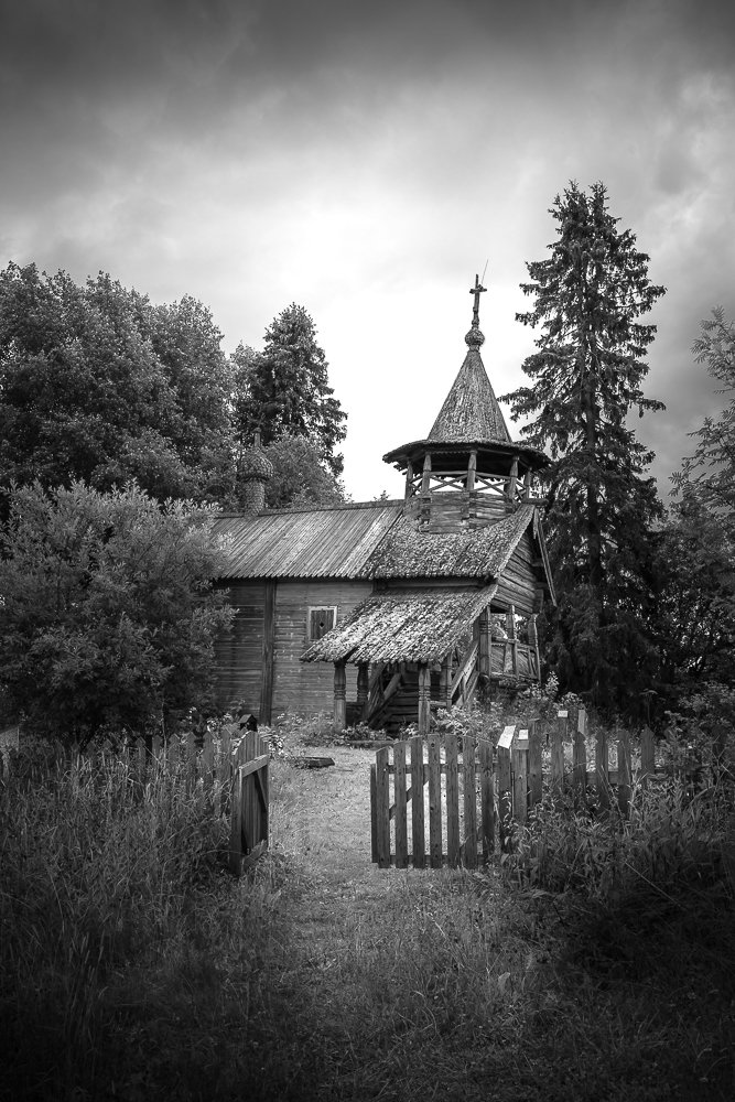 Фотография автора Светлана Морозова