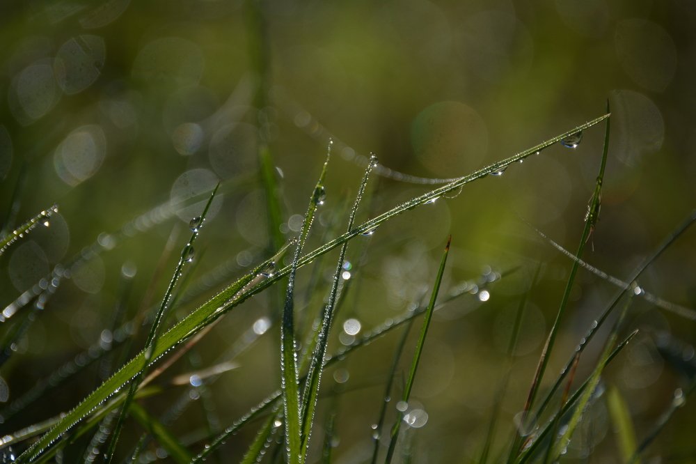Photograph by Надежда Кузьмина
