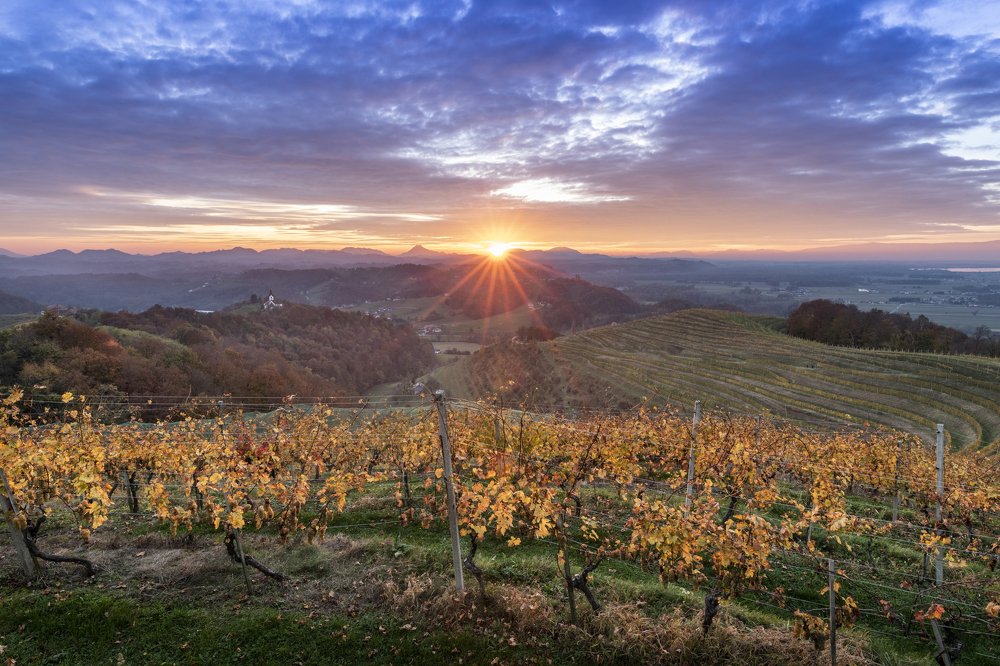 Sunset in Haloze, Slovenia
