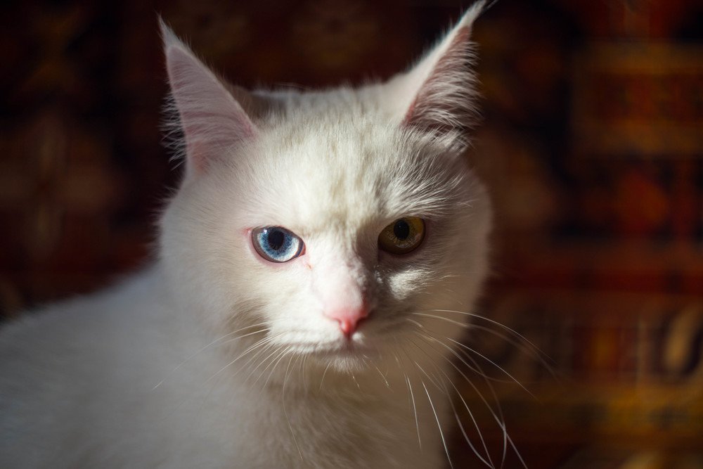 Photograph by Andrey Chernov