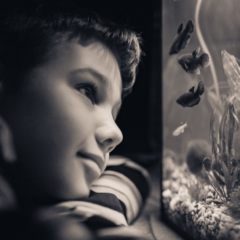 Photograph by Влад Корнев