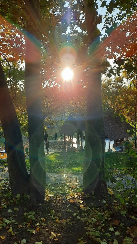 Photograph by Татьяна Исаева