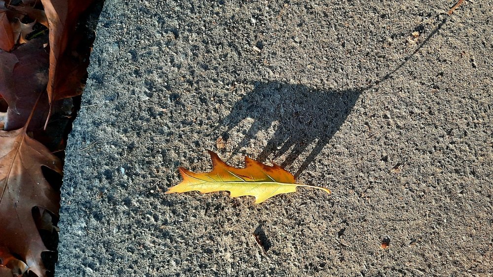 Photograph by Татьяна Исаева