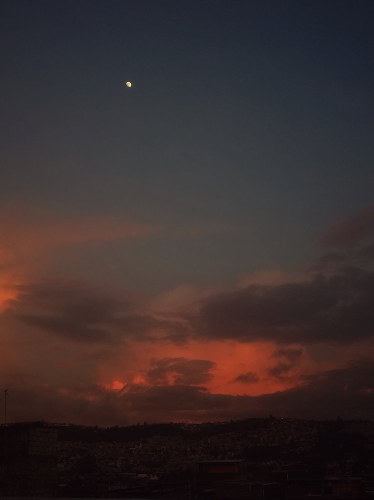 Photograph by Genesis Vivas