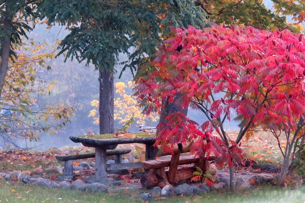 Фотография автора Ольга Завадилика