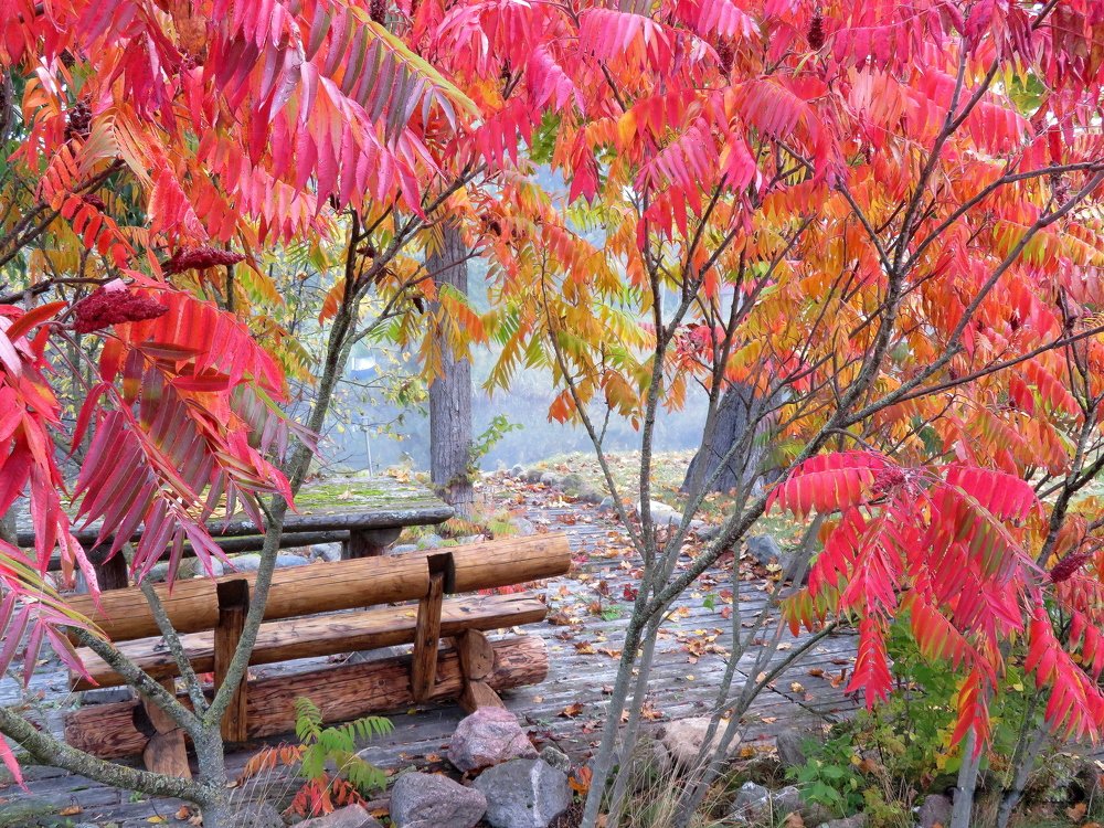 Фотография автора Ольга Завадилика