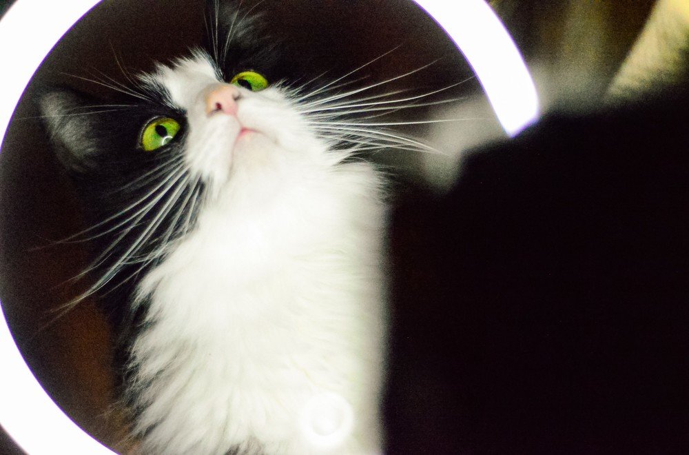 Photograph by Nadezhda Rav