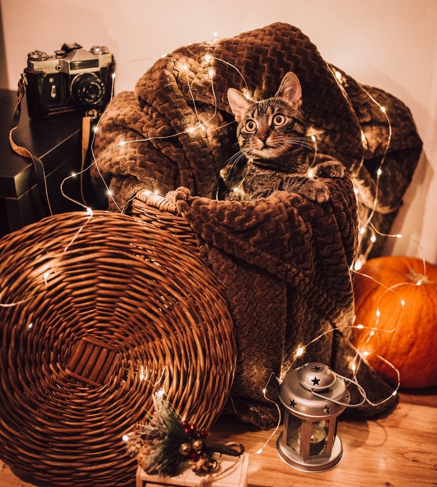 Photograph by Viacheslav Machuskyi