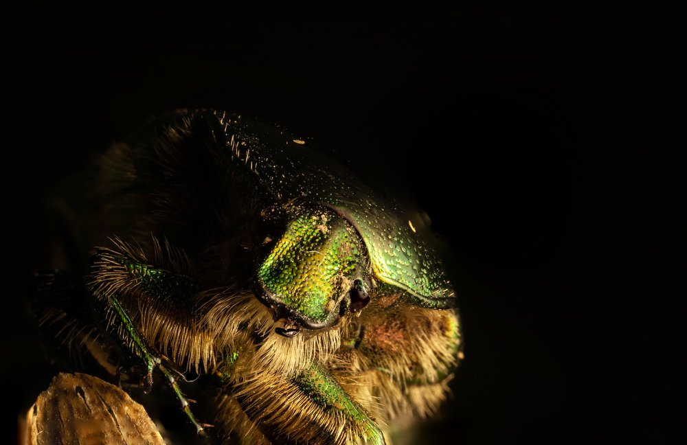 Photograph by Михаил Курихин