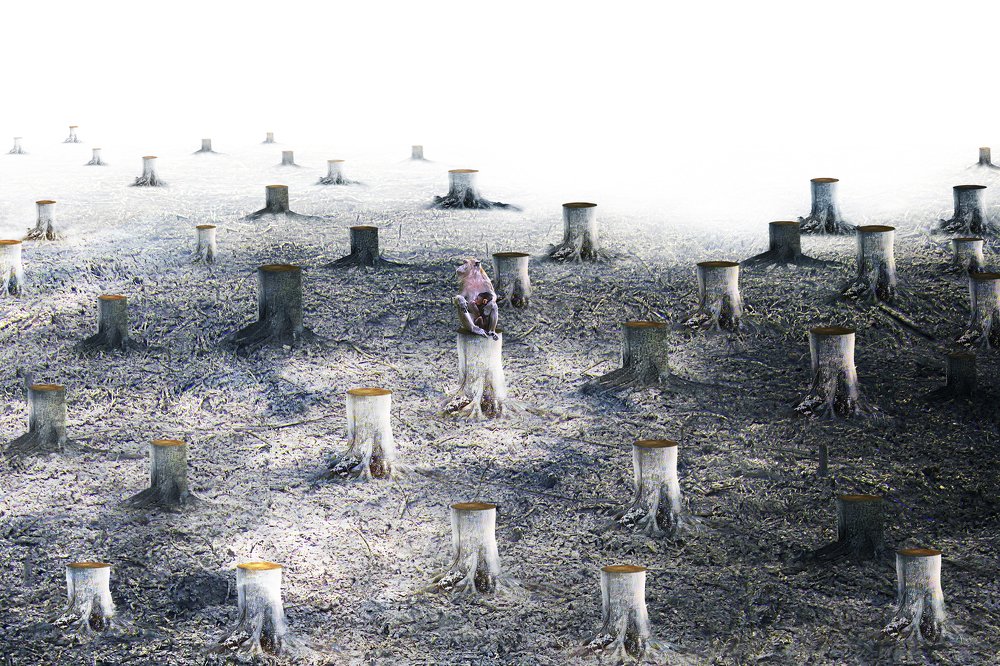 Mama where is our home?