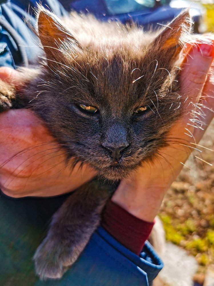 Photograph by Евгений Гусаков