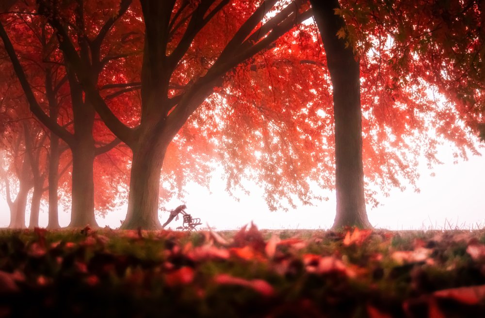 Photograph by Koel Das