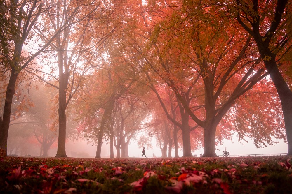 Photograph by Koel Das