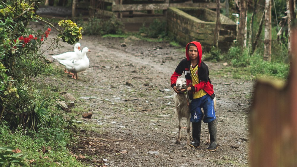 Photograph by Cristian Alexander Arredondo Murillo