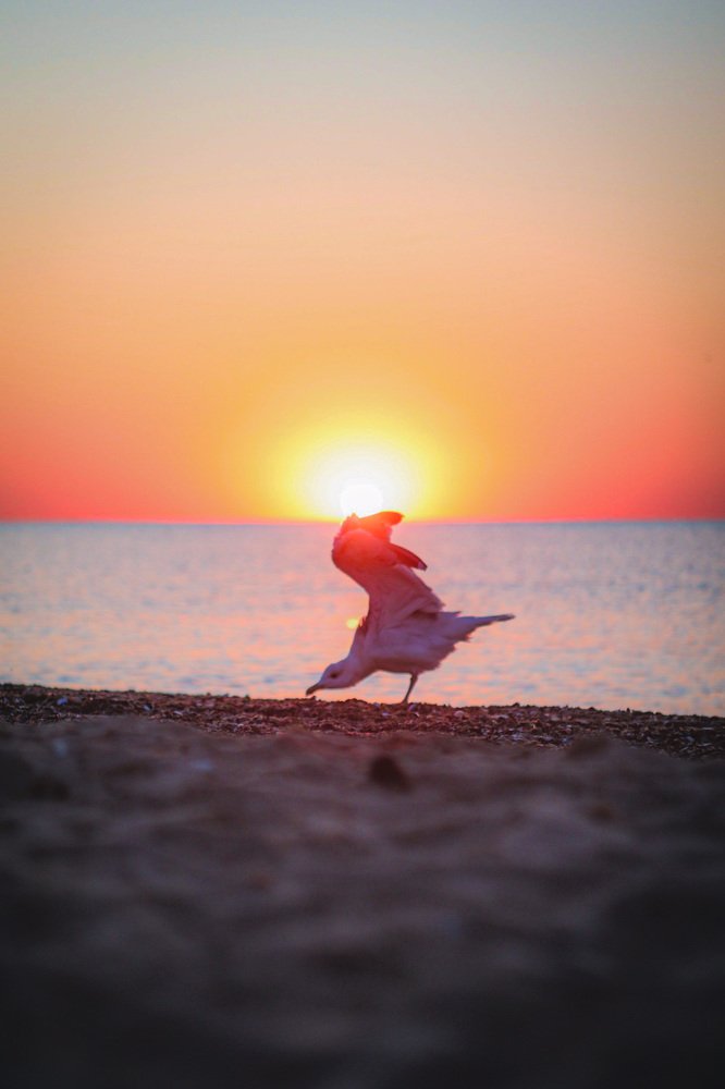 Photograph by Олеся