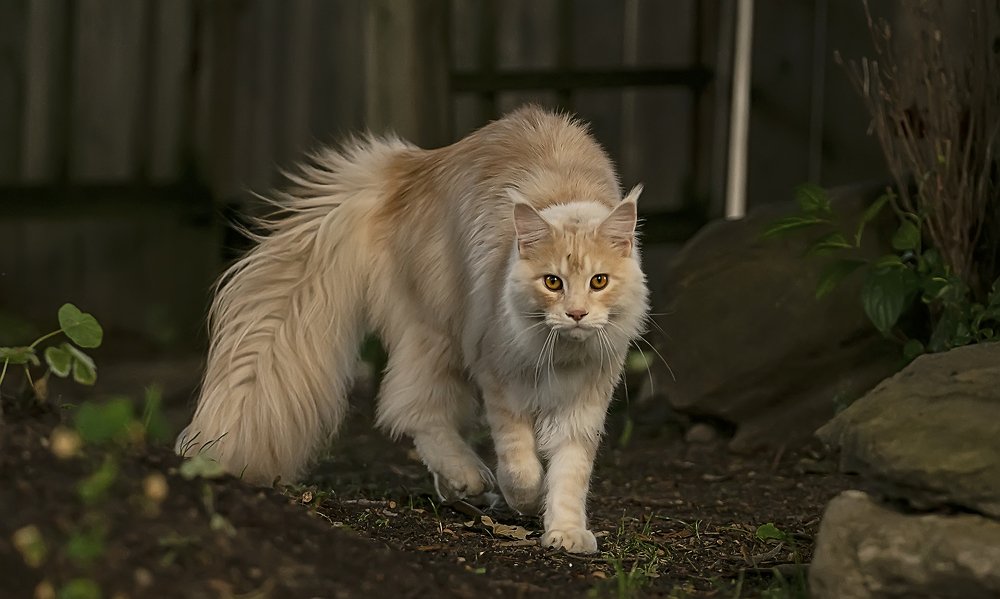 Photograph by Jelena Levsina