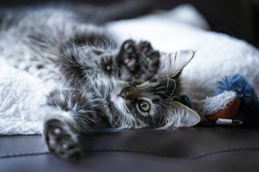 Photograph by Jelena Levsina