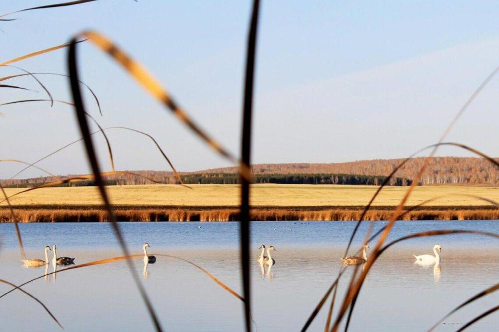 Photograph by Татьяна Перегудова