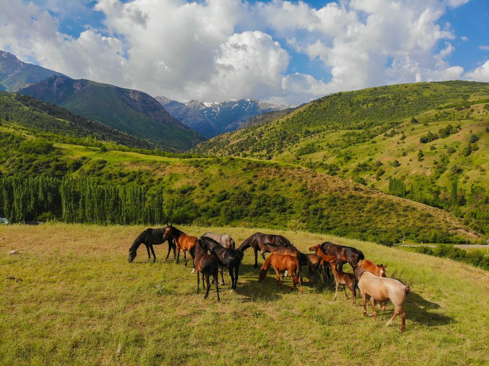 Photograph by Серікболсын Шері