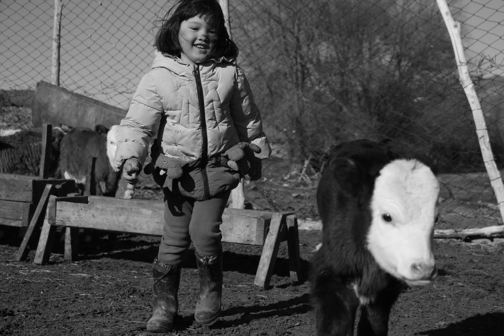 Photograph by Серікболсын Шері