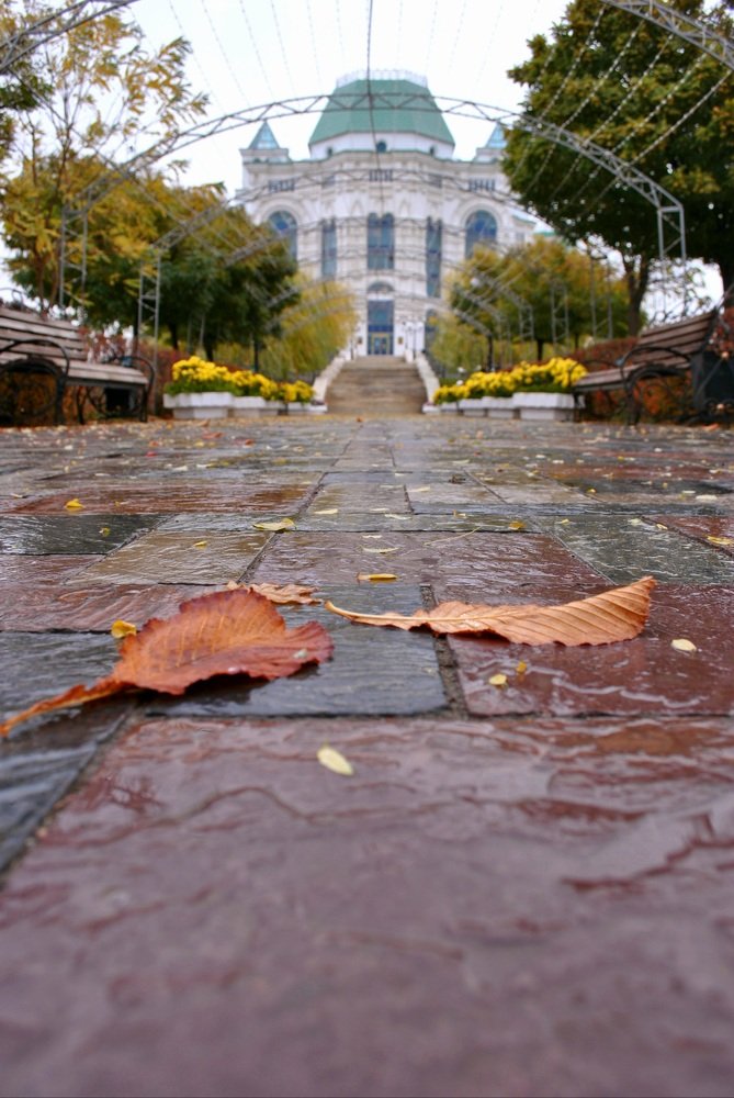 Photograph by Наталия Захарова