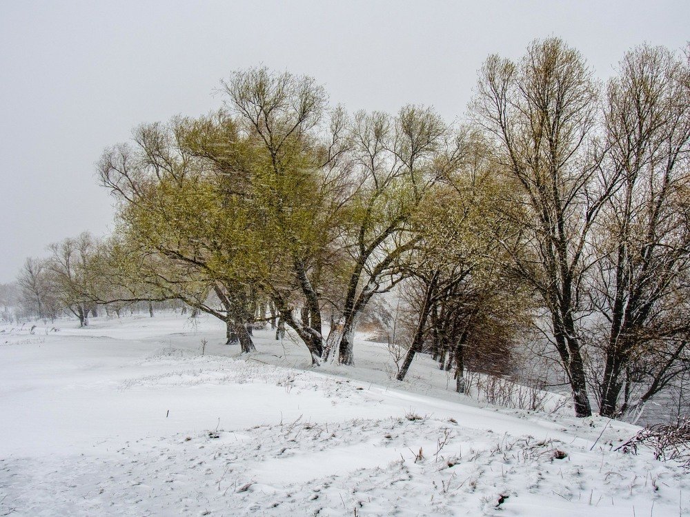 Photograph by mikhail goryachev