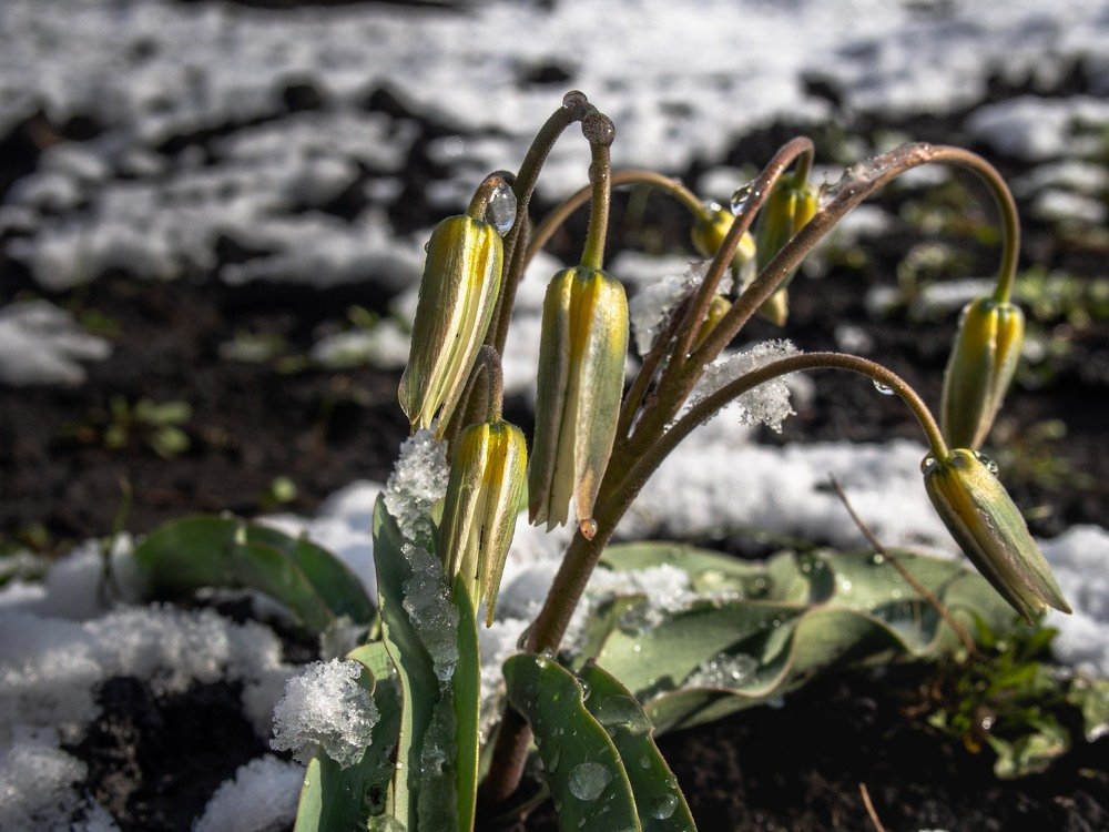 Photograph by mikhail goryachev