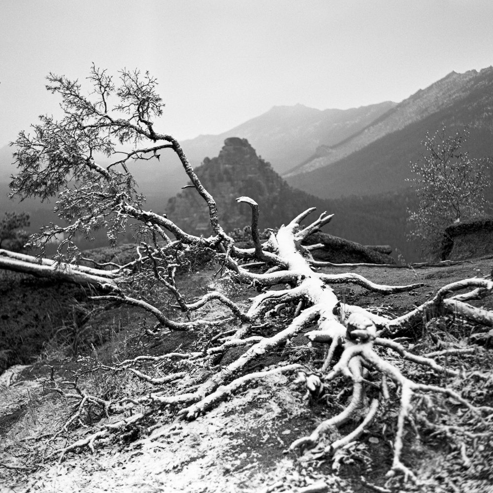 Фотография автора Mori Haos