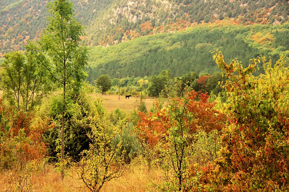 Photograph by AlexSa