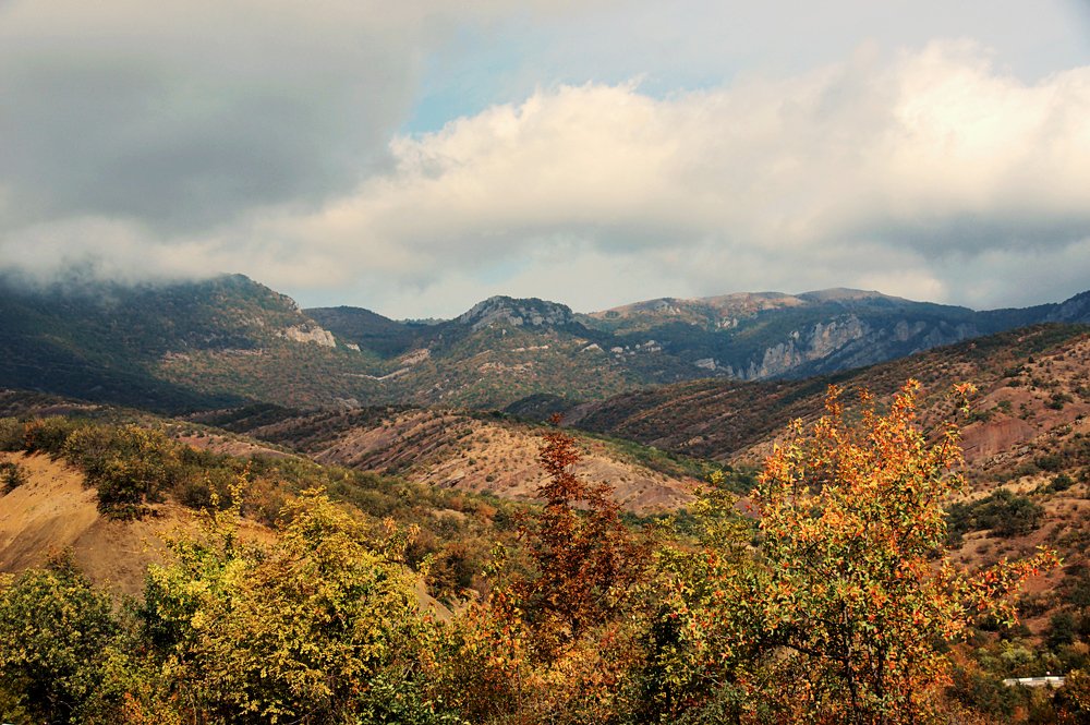 Photograph by AlexSa