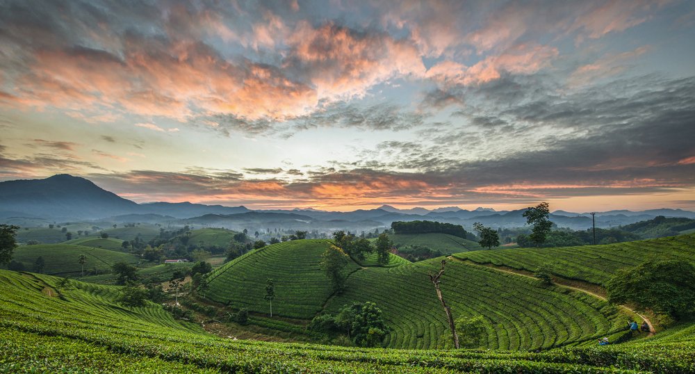 Photograph by Dương Nguyễn