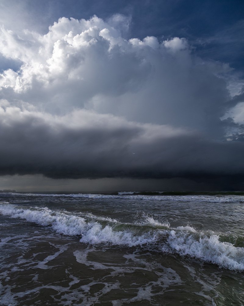 Photograph by Lana Anferow