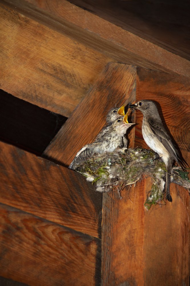 Все лучшее - детям