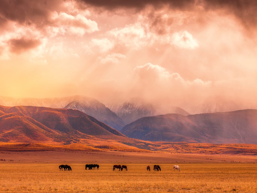 Photograph by Евгений Кожевников