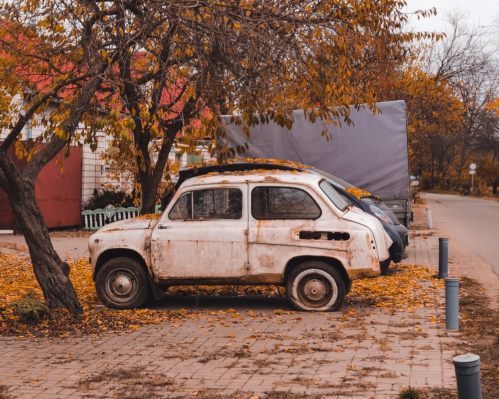 Photograph by Татьяна Желобкова