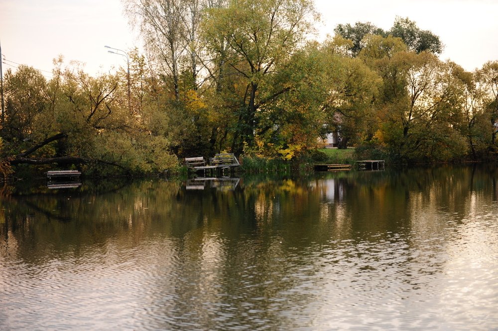 Photograph by Elena Starodvorskaya