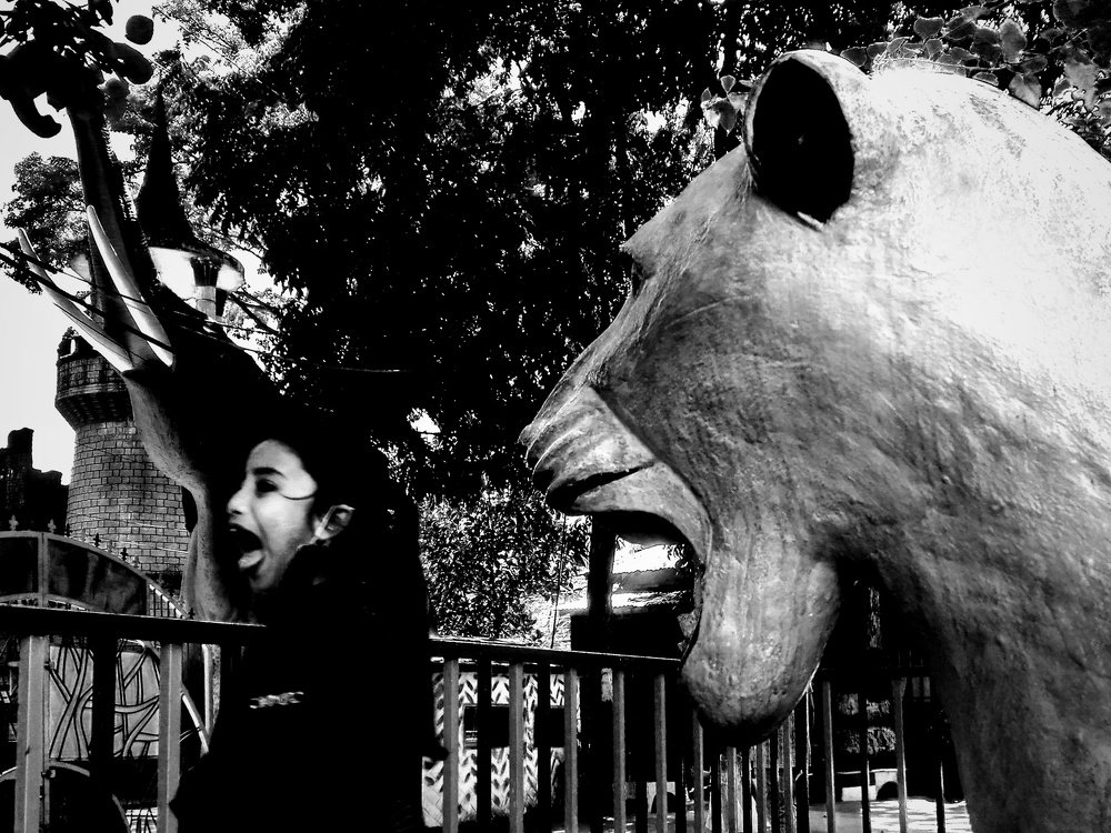 Photograph by Nandy Anik